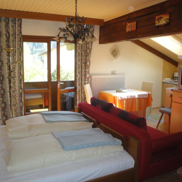 Doppelbett_und_Schlafcouch_-_App_40m²