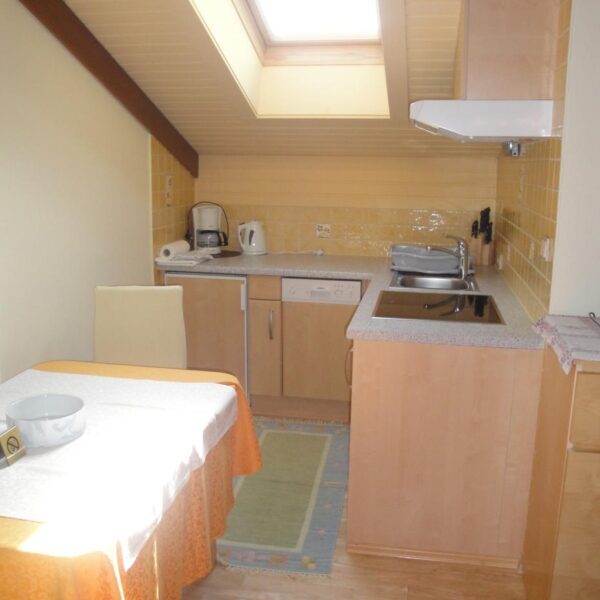 Küche_mit_Geschirrspüler_-_App_40m²