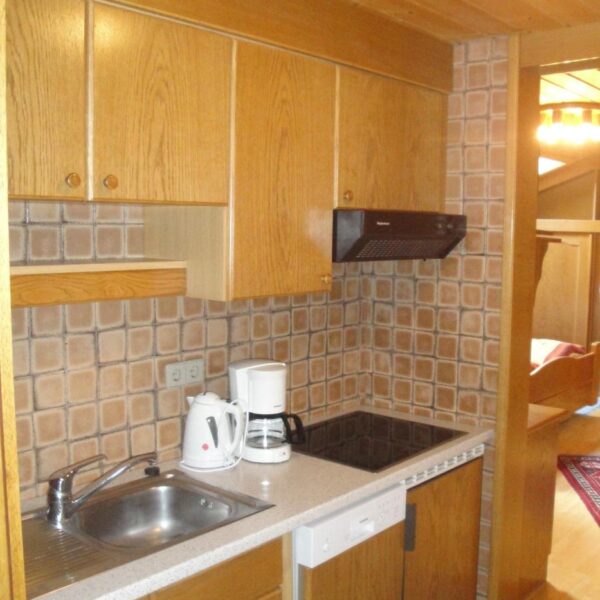 Küche_mit_Geschirrspüler_-_Dachterrassenapp_78m²